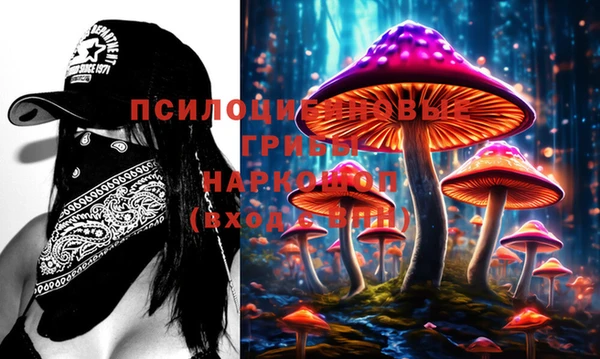 ешки Осинники