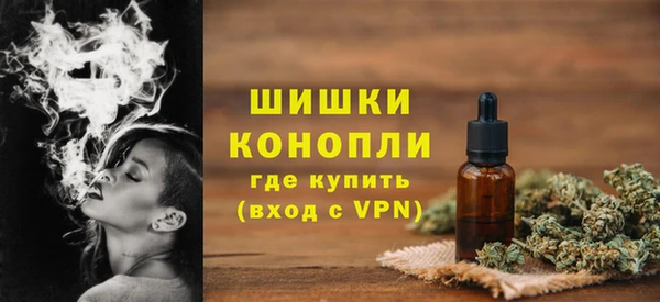 ешки Осинники
