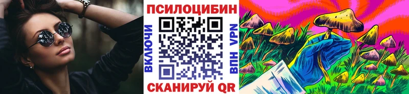 Псилоцибиновые грибы мухоморы  даркнет сайт  Новая Ладога 